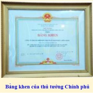 Thành tích công ty đạt được qua các năm từ 2000 - 2009